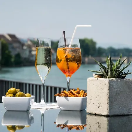 Park-hotel Am Rhein - Gesundheitshotel Und Residenzen 4* Rheinfelden
